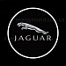 Светодиодная 3D проекция Jaguar